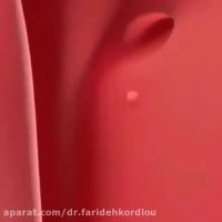 فیلم تشکیل سلول تخم