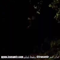 یه دوربین مخفی ببینید  هم بخندید هم کرک و پرتون بریزه :)