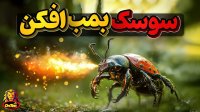 سوسک بمب افکن مجهز به سلاح های شیمیایی و اسیدی