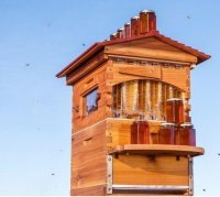 کندو عسل اختراع استرالیایی