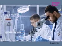 کلیشه‌های فیلم ایرانی ... انیمیشن خنده دار سوریلند