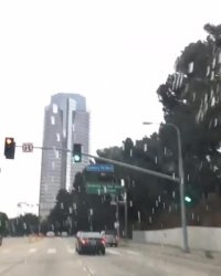 ویدئویی که "رضا گلزار" از لس آنجلس منتشر کرده