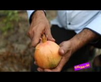 فوت کوزه گری 18 - بسیج سازندگی - مزرعه انار