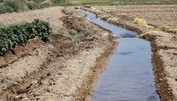 مشکل آب در بخش کشاورزی رباط‌کریم به مرز بحران رسیده است