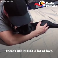 خانواده گربه ای - Couple Devotes Lives To Rescuing Special Needs Cats | Dodo Heroes