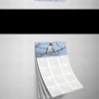 تقویم لایه باز 98