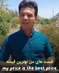 آموزش زبان انگلیسی | دو واژه هم آوا  prize و price