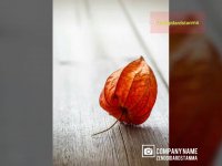 چگونه ازدانسته هایمان بهترین استفاده راببریم