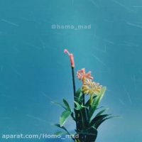 گل مصنوعی🌹