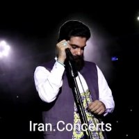 کنسرت علی زندوکیلی