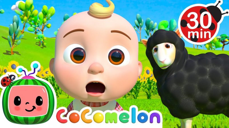 کوکوملون baa baa black sheep - ببعی سیاه و حیوانات مزرعه