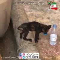 بشنو از نی، چون نوای ناله هاست گریه در کار خیابان مانده