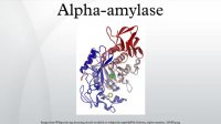 فروش آنزیم آمیلاز | آلفا آنزیم آمیلاز | 09108165668
