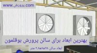 پرورش بوقلمون و آموزش ساخت سالن