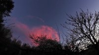 Spring Sunset Timelapse