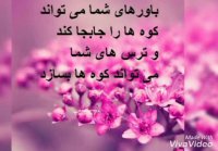 انجام پایان نامه| انجام پایان نامه کارشناسی ارشد|اکسپت مقاله |چاپ مقاله |تحلیل آماری | spss| |