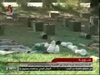 کشف مقادیر زیادی تسلیحات و مهمات در صحرای تدمر در سوریه