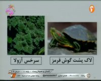 کلاس درس انسان و محیط زیست (درس 6) پایه دوازدهم