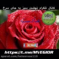 برای شما آرزو مندیم