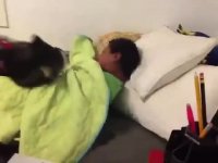 وقتی سگت بدجور هواتو داره!!