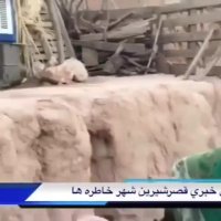 دردهای مادر زلزله زده