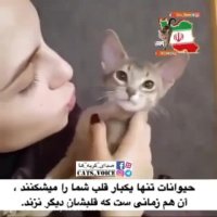 حیوانات یكبار قلب شمارامیشكنند،زمانى كه دیگرقلبشان نزند