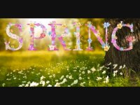 تبریک عید نوروز به زبان انگلیسی همراه یا ترجمه