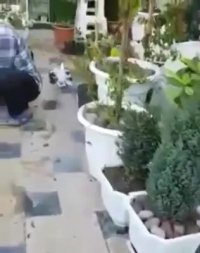 قشنگ ترین حرکت دنیا