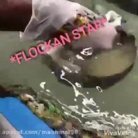 هیدروگرافیک-چاپ روی اب.هیدروگرافیک02156571497