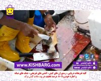 ماهی پاک کردن ،بازار ماهی عجیب و غریب