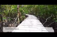 حزیره کوهستانی و جذاب کوچانگ در تایلند