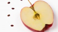 دانه سیب را بخوریم یا خیر ؟