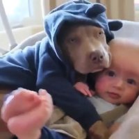 زندگی مسالمت آمیز به این میگنا!