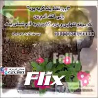 غم مرگ  حیوان خانگى با غم مرگ همنوع یكسان است.