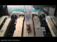 How to Package Nuts at High Speeds: Viking Masek Velocity