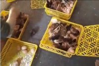 فروش دستگاه جوجه کشی 1000 تایی هدهد خراسان