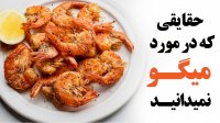 حقایقی در مورد میگو